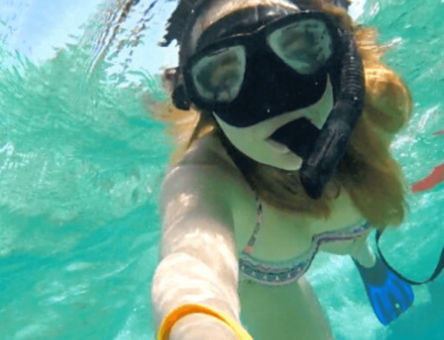 Snorkeling the Belize Barrier Reef