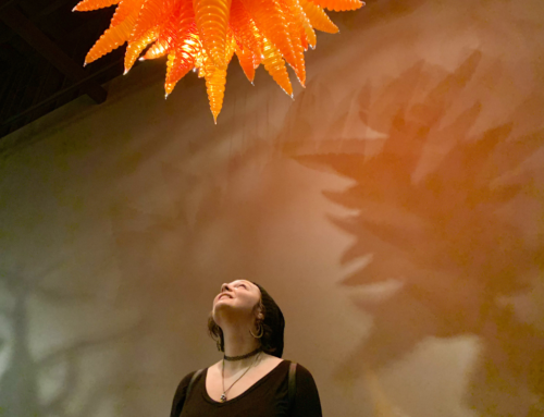 Seattle’s Chihuly Garden and Glass Review